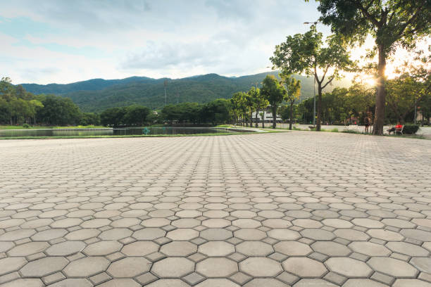 Reasons to Select Us for Your Driveway Paving Requirements in Iowa Colony, TX