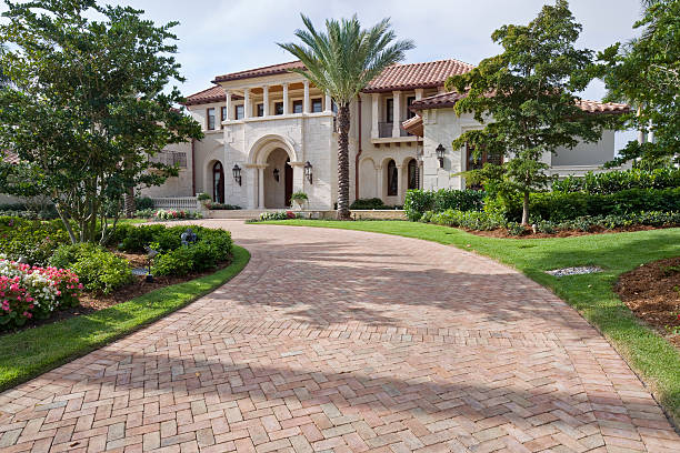 Best Driveway Pavers Near Me  in Iowa Colony, TX