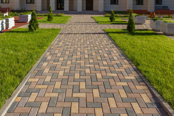 Best Driveway Paving Contractor  in Iowa Colony, TX